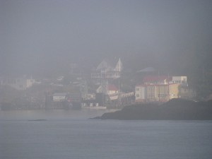 Frogging in the fog 006